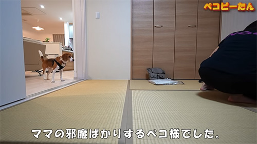 ママの邪魔ばかり