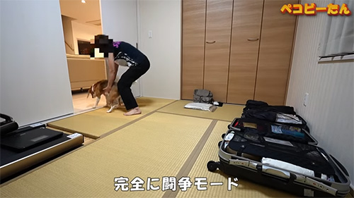 完全に闘争モード