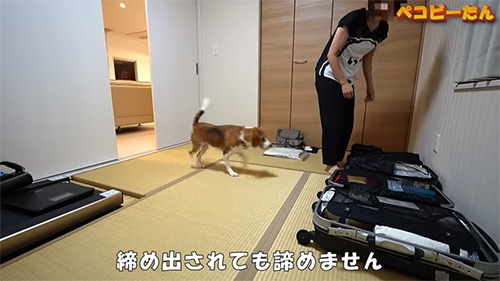 締め出されても突入