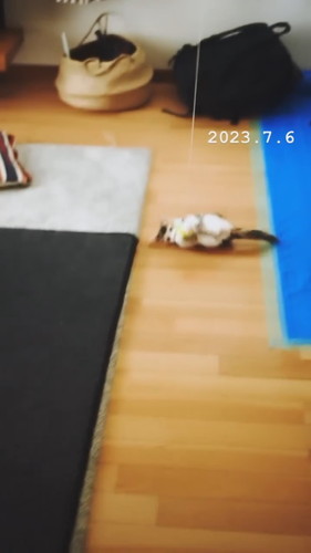 「ヌーコーの振り子」