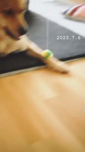 「ヌーコーの振り子」