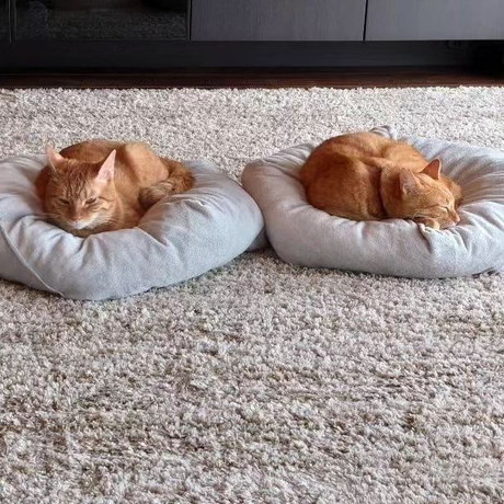 ドラくんとトラくん