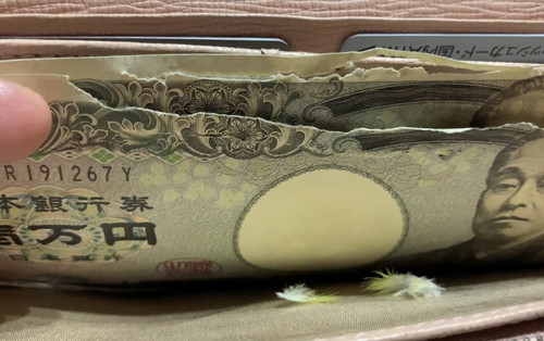 ボロボロの紙幣