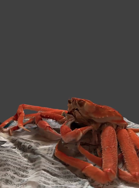 3D カニ iPhone