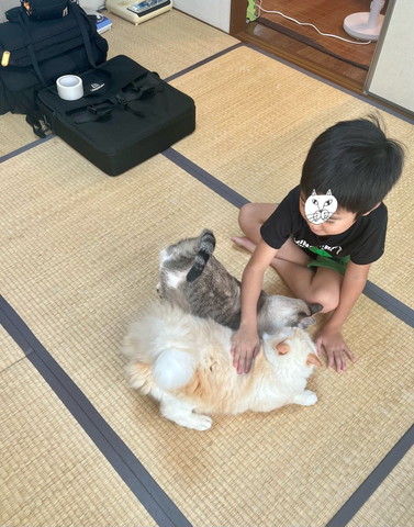 猫2匹なでてる息子正面