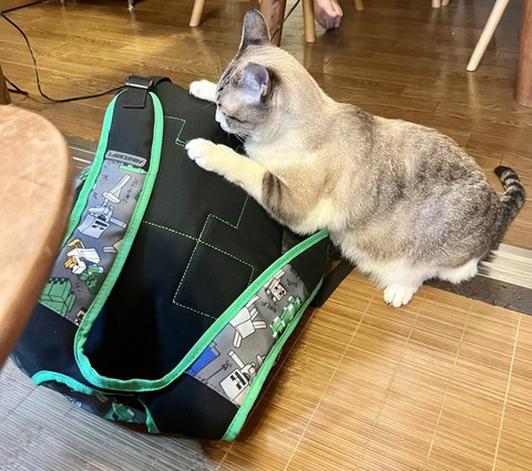 かばんに前足添える猫