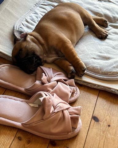 このやってやった感テロップ