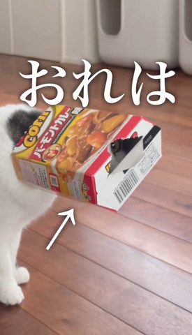 おれはテロップ