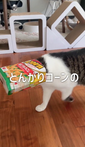 とんがりコーンのテロップ