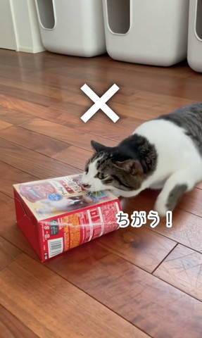 ちがうテロップ