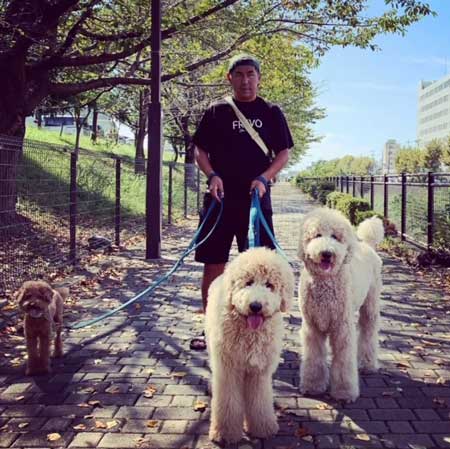 階段降りられないデカワンコ2匹を抱っこして下りるお父さん