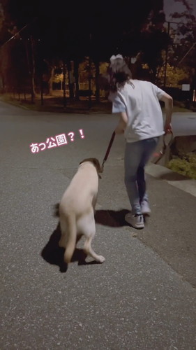 帰宅断固拒否運動中のダッフィーちゃん