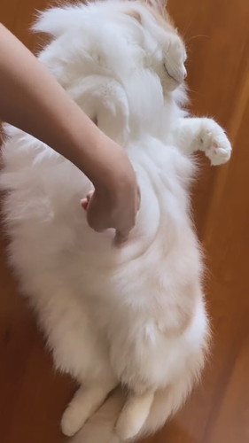 「もふもふミステリーサークルの作り方」