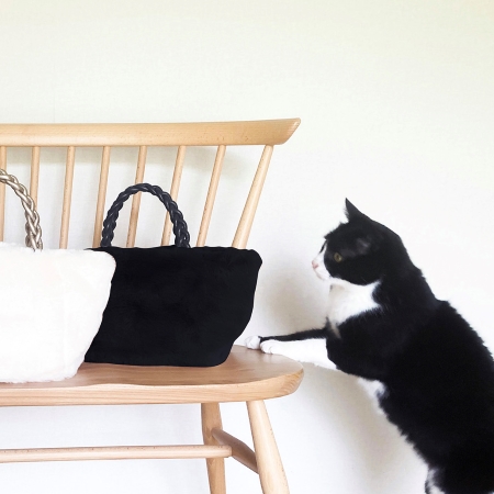 トートバッグと猫