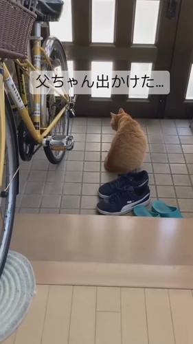 父ちゃんが出掛けて寂しいチャーくん