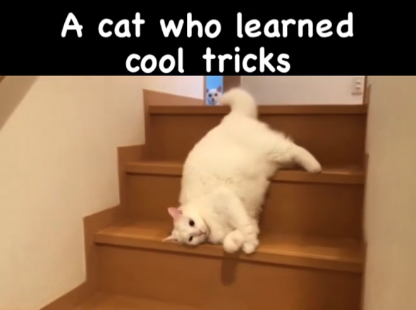 まるで白い液体のようです