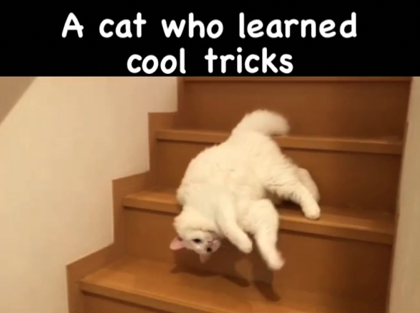 一段一段止まらず、スムーズに流れ降りていきます