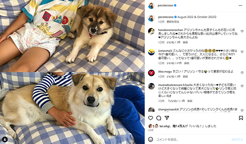 現在一緒に暮らしているアリソン