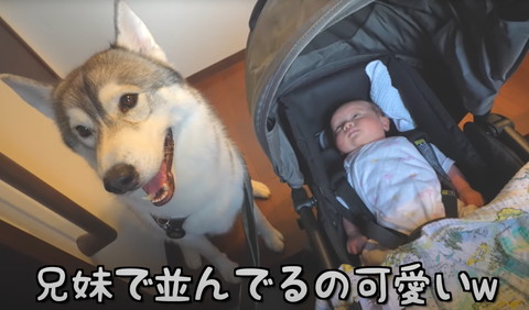 前回もんちゃん