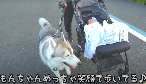 もんちゃんめっちゃ笑顔でテロップ