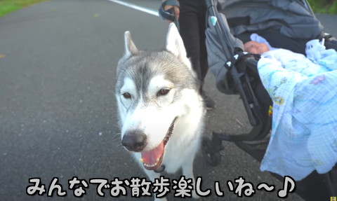 みんなでお散歩楽しいねテロップ