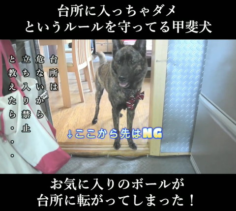 ここから先はNGテロップ