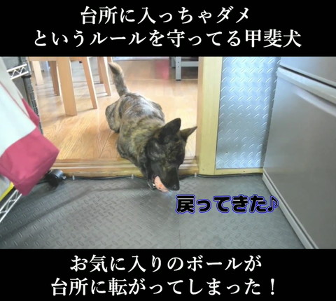 戻ってきたテロップ