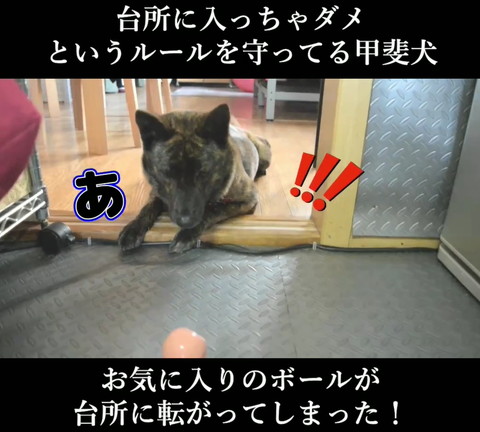 ビックリマークテロップ