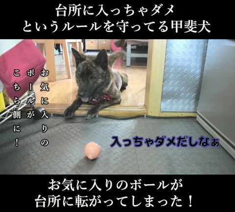 入っちゃダメだしなぁテロップ