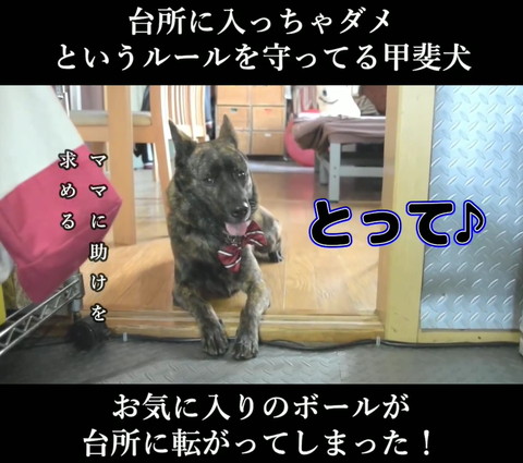 とってテロップ