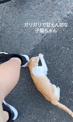 どうしよテロップ