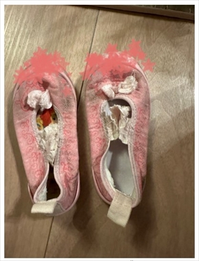 育児放棄を疑われた元SDN48の光上せあら