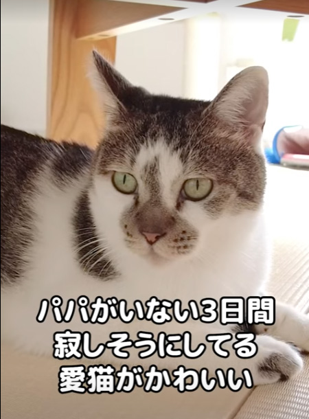 前回ささみ