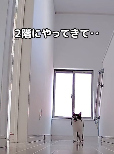2階にやってきた