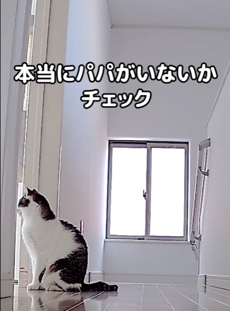 パパさんの部屋チェック