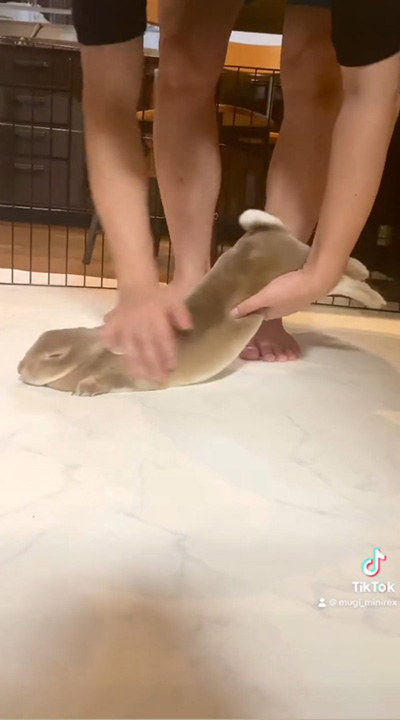 頭からなでなで