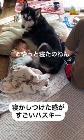 やっと寝たのねんテロップ