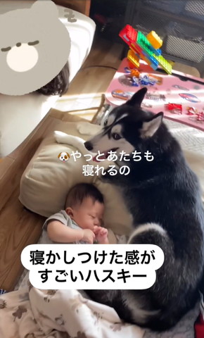 やっとあたちも寝れるのテロップ