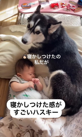 寝かしつけたの私だがテロップ