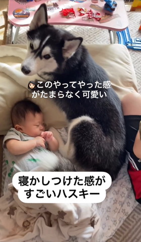 このやってやった感テロップ