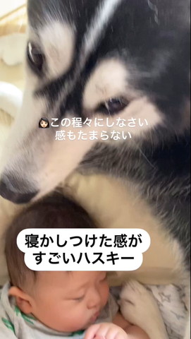 このほどほどにしなさい感テロップ