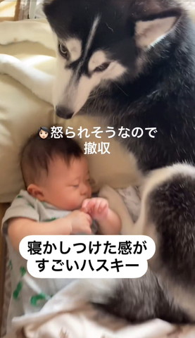 怒られそうなので撤収テロップ