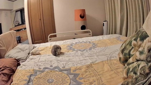 ぬいぐるみの乗ったベッド