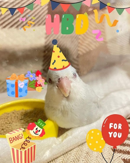 ミライくん全身アップ