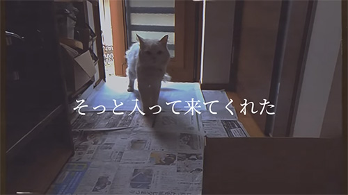 入ってきてくれた