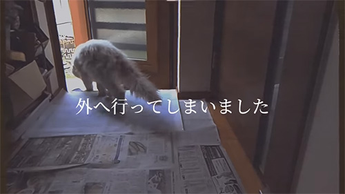 外に行ってしまいました