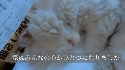 家族みんなの心が