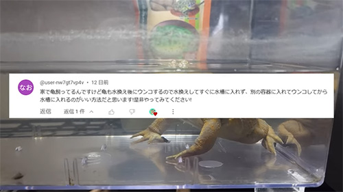 視聴者さんからのコメント