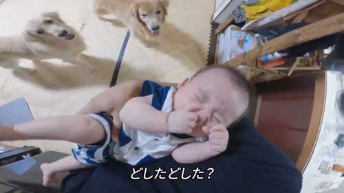 心配するワンコ