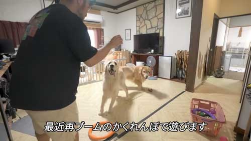 ワンコと遊ぶパパ